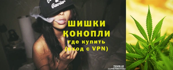 крисы Белокуриха