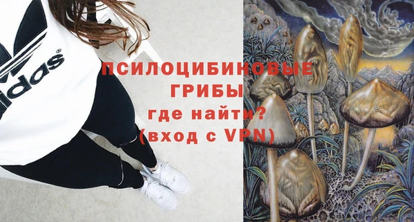крисы Белокуриха