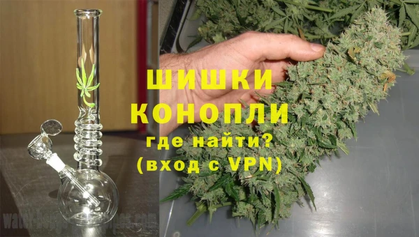 стаф Беломорск