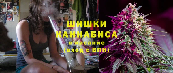 крисы Белокуриха