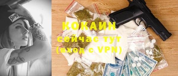 крисы Белокуриха