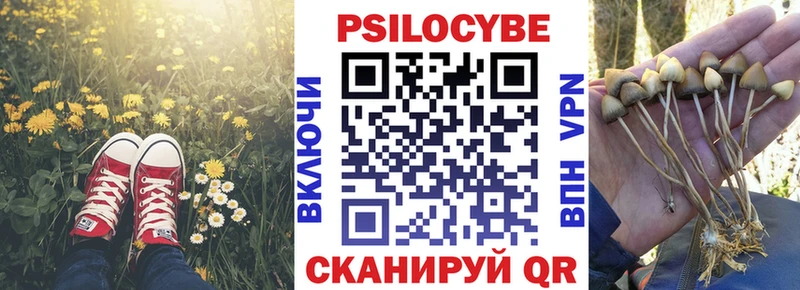 блэк спрут сайт  Козьмодемьянск  Псилоцибиновые грибы мицелий  дарнет шоп 